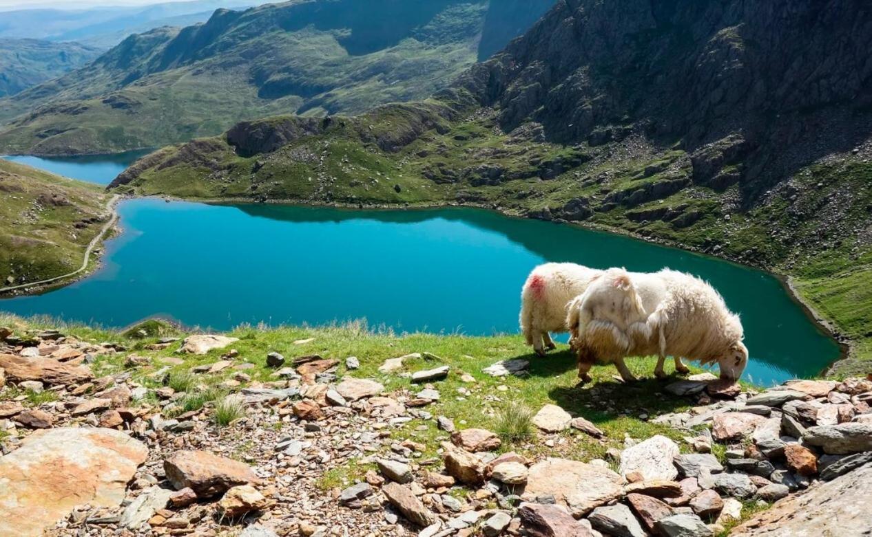 Hafan Y Mor Holiday Park Chwilog Zewnętrze zdjęcie